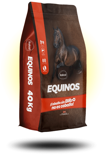 Imagen de ITALCOL EQUINOS P X 40 Kg