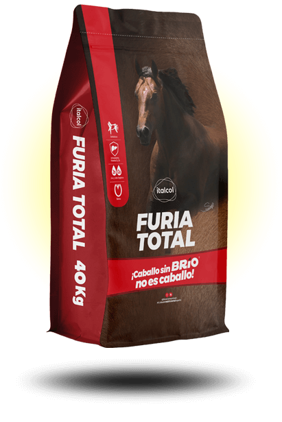 Imagen de ITALCOL FURIA TOTAL X 40 Kg