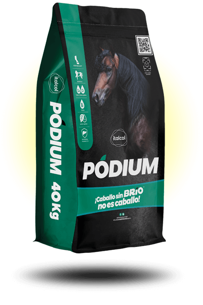 Imagen de ITALCOL PODIUM X 40 Kg