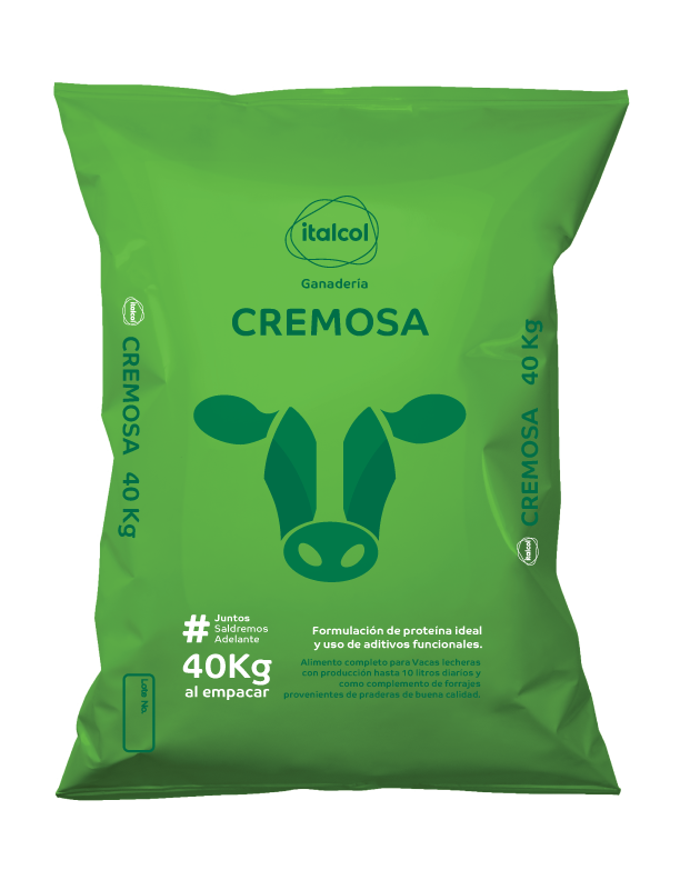 Imagen de ITALCOL CREMOSA PD X 40 Kg