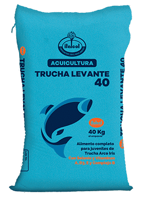 Imagen de ITALCOL TUCHA LEVANTE 45%E