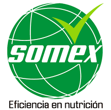 Imagen de SOMEX MB CON SE X 1 KL PACA X 30 Kg