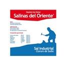 sal-industrial-deposito